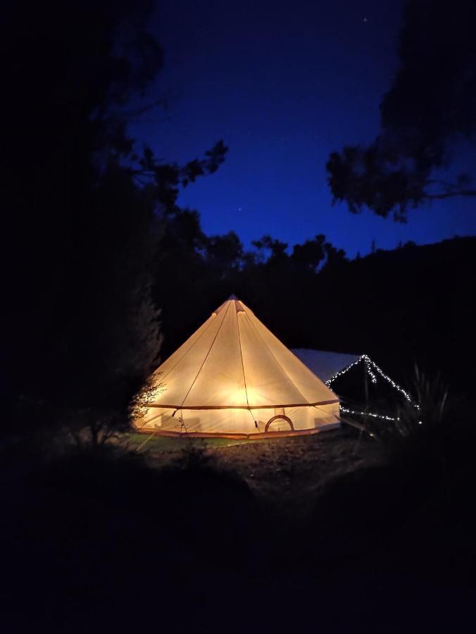 Glamping At Zeehan Bush Camp Kültér fotó