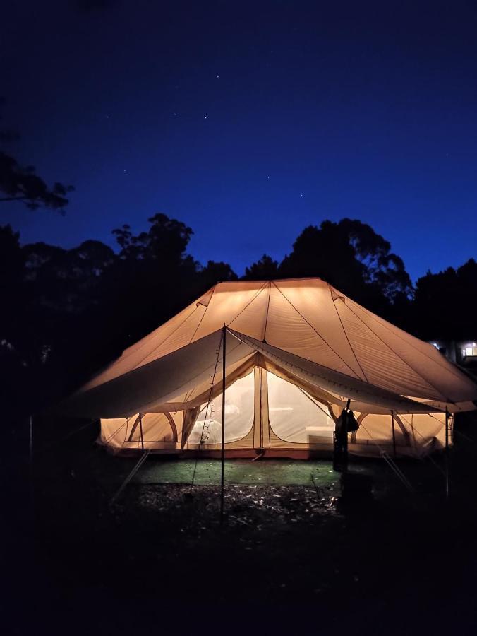 Glamping At Zeehan Bush Camp Kültér fotó