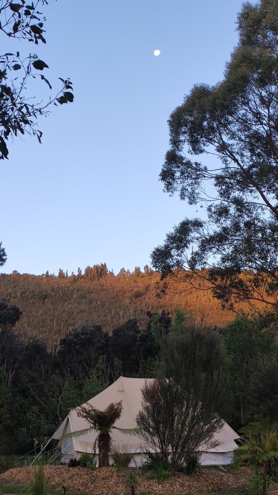 Glamping At Zeehan Bush Camp Kültér fotó