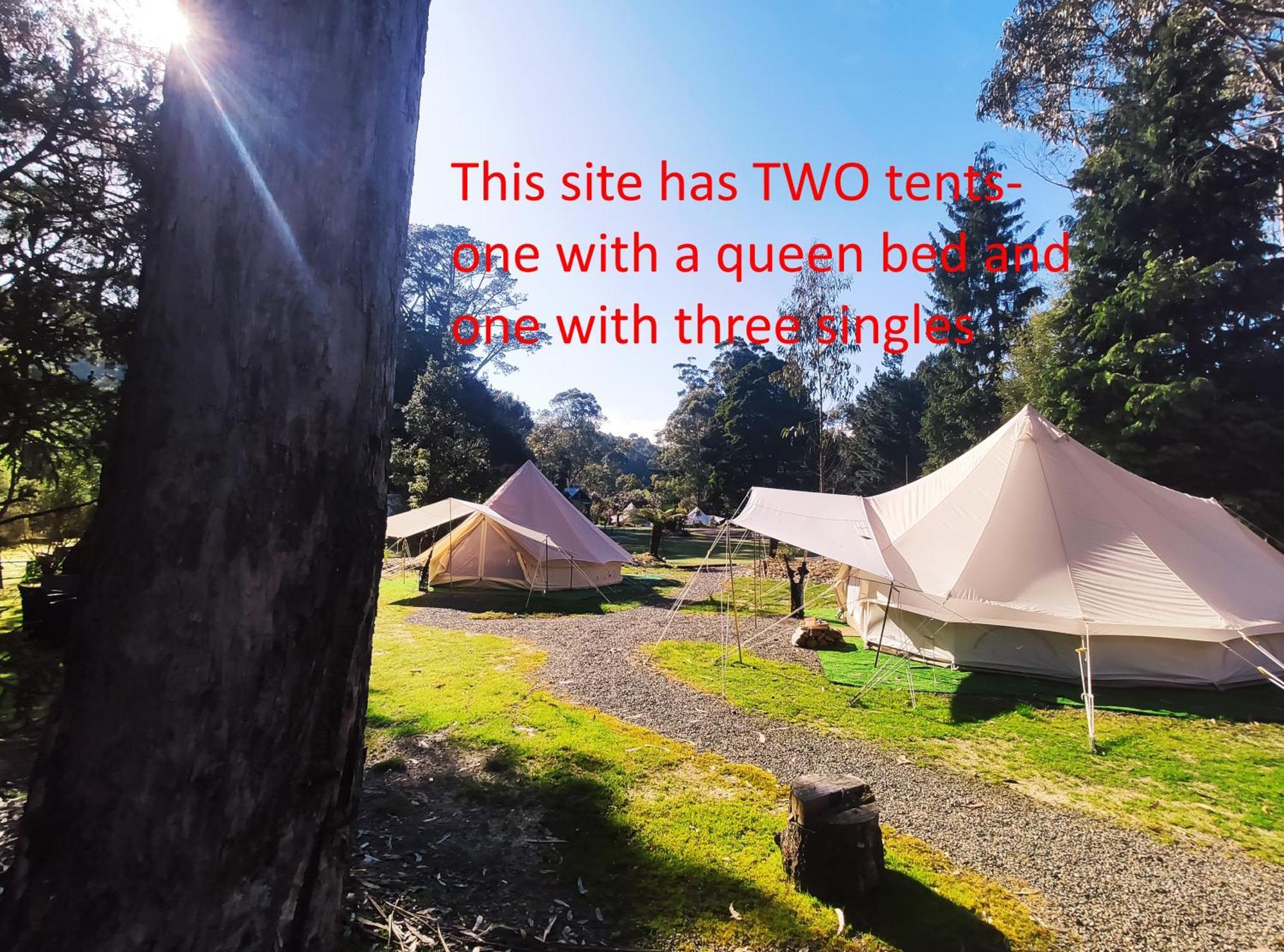 Glamping At Zeehan Bush Camp Kültér fotó