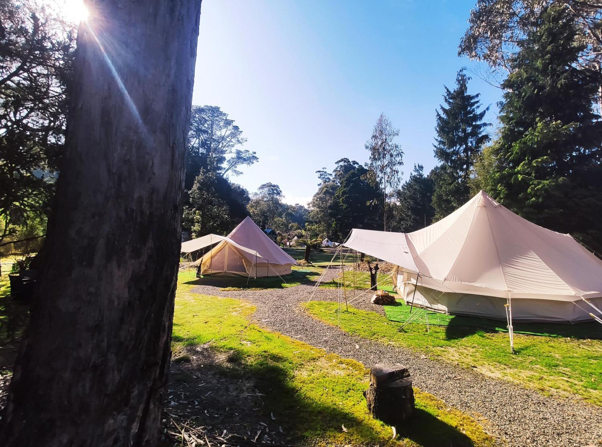 Glamping At Zeehan Bush Camp Kültér fotó