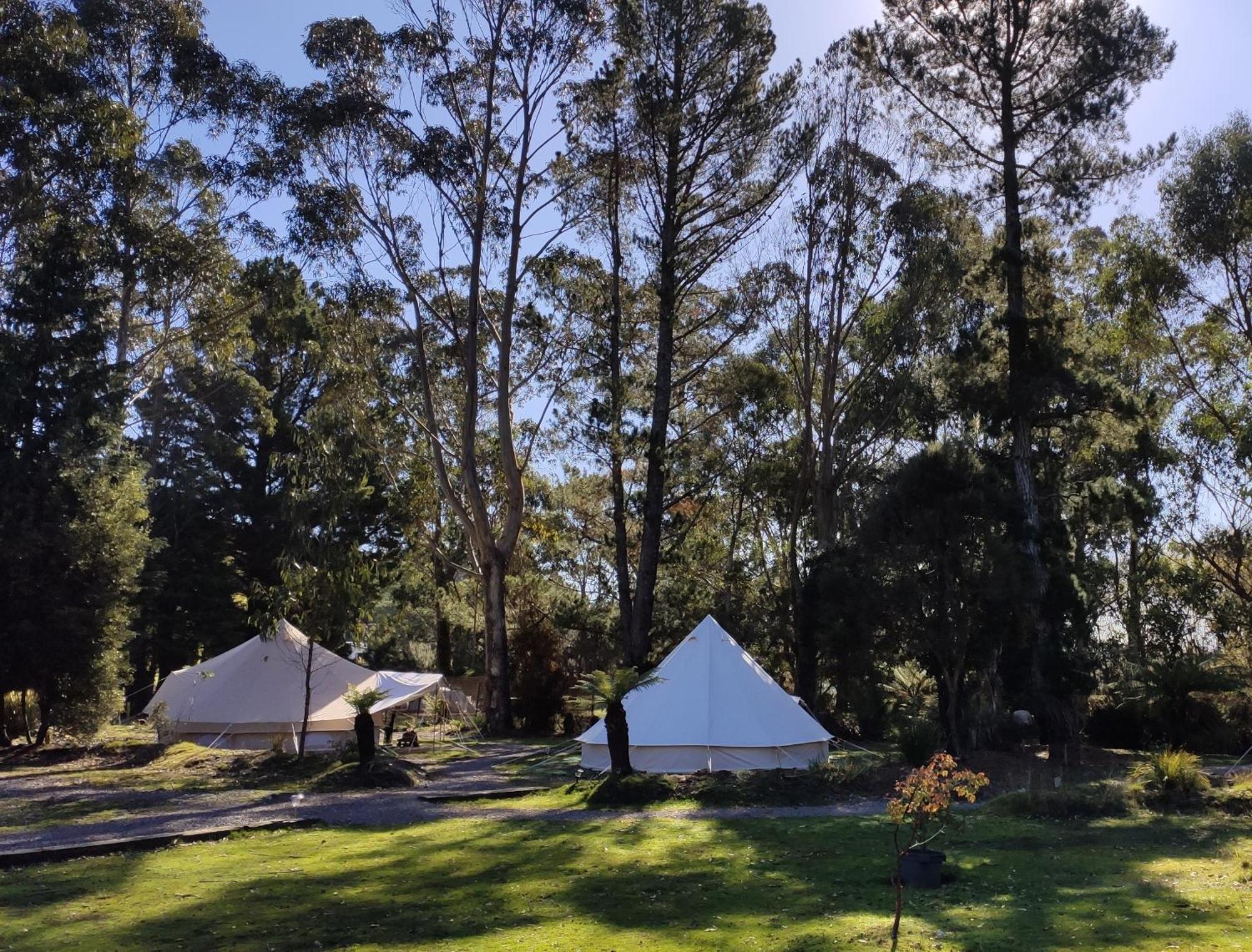 Glamping At Zeehan Bush Camp Kültér fotó