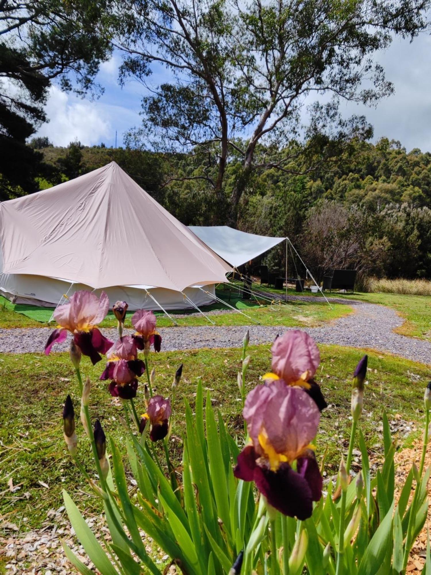 Glamping At Zeehan Bush Camp Kültér fotó