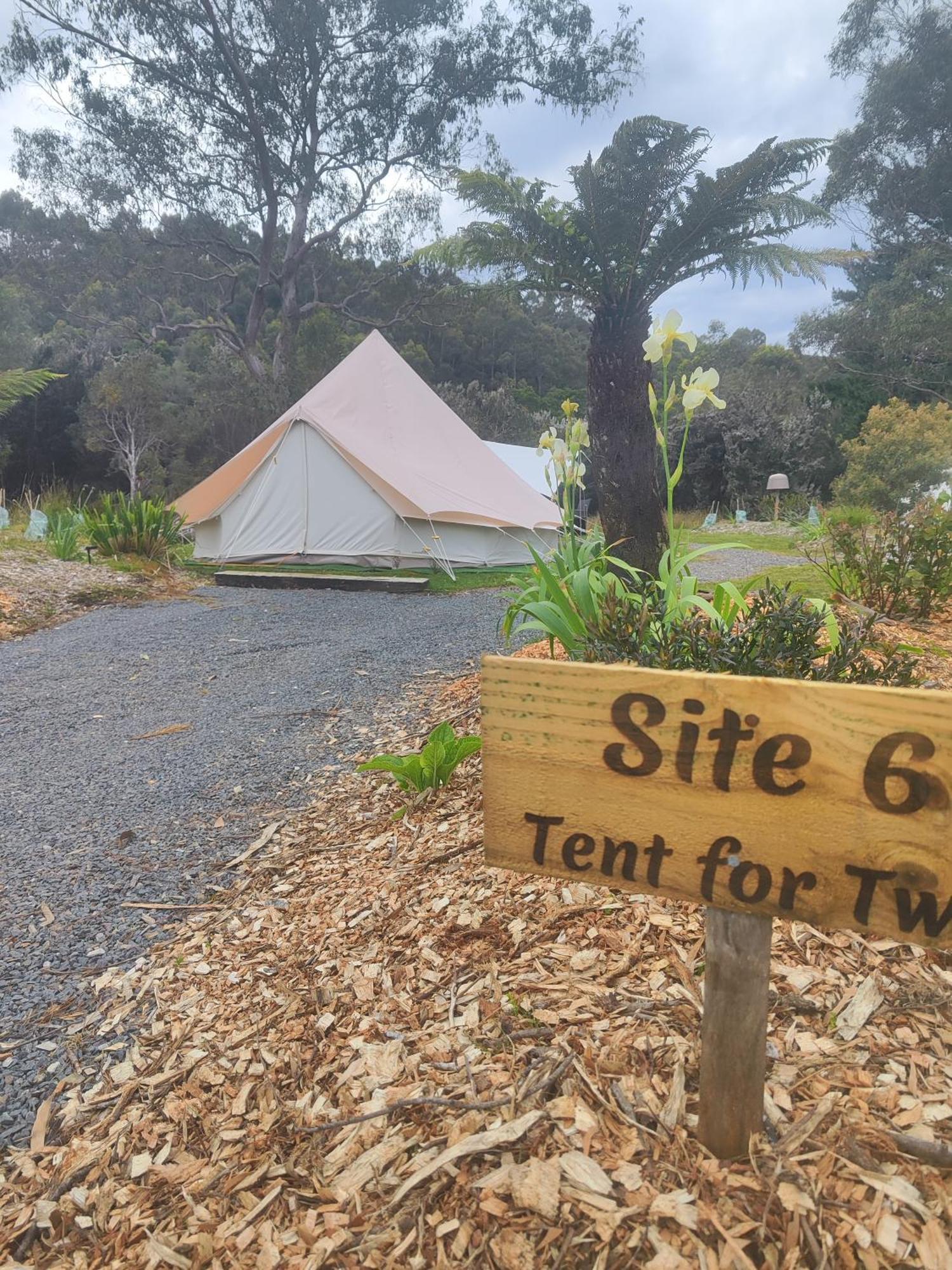 Glamping At Zeehan Bush Camp Kültér fotó