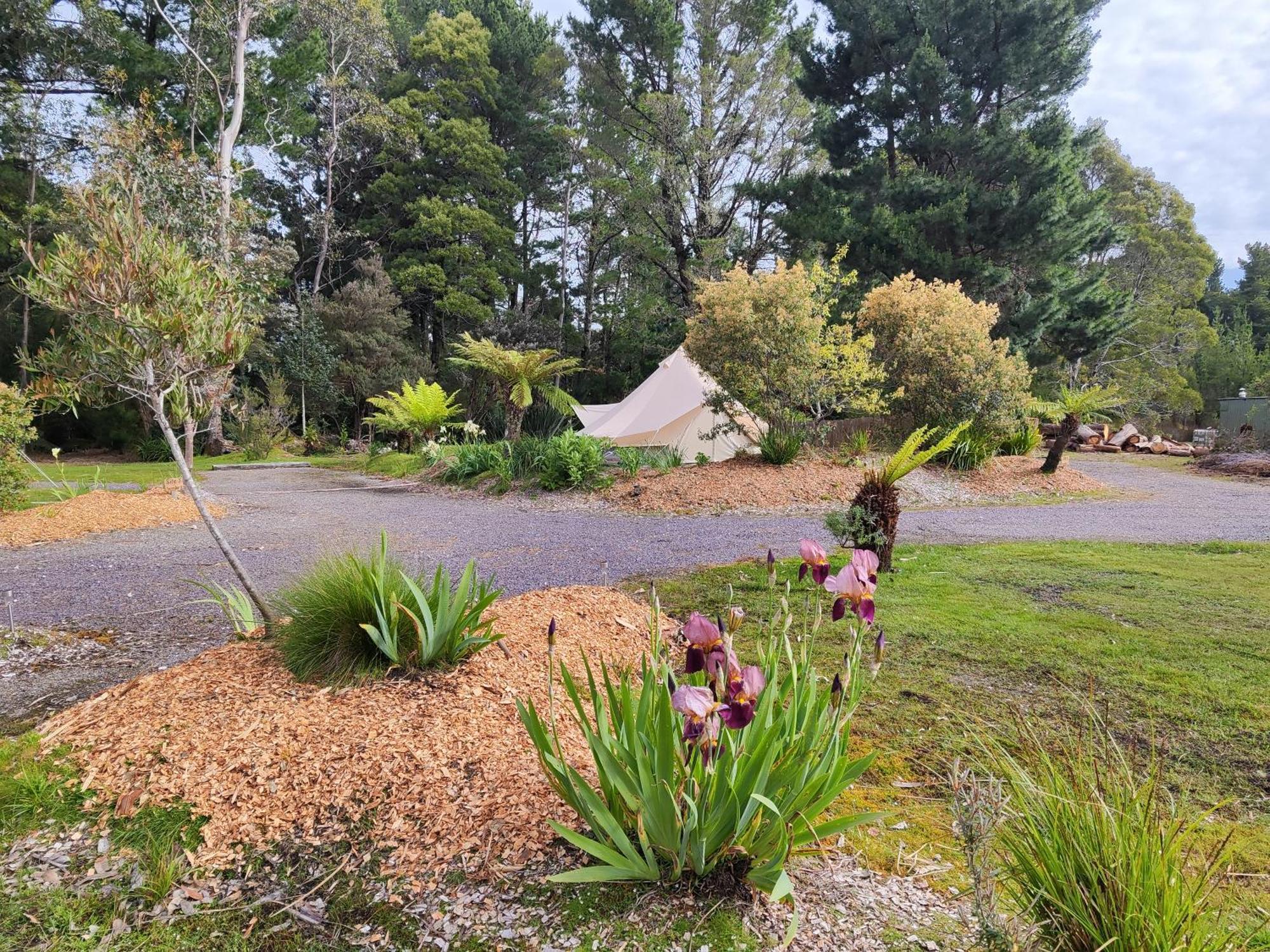 Glamping At Zeehan Bush Camp Kültér fotó