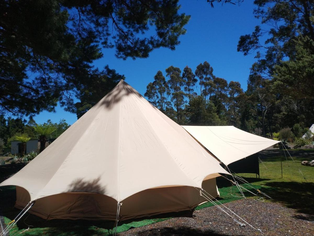 Glamping At Zeehan Bush Camp Kültér fotó