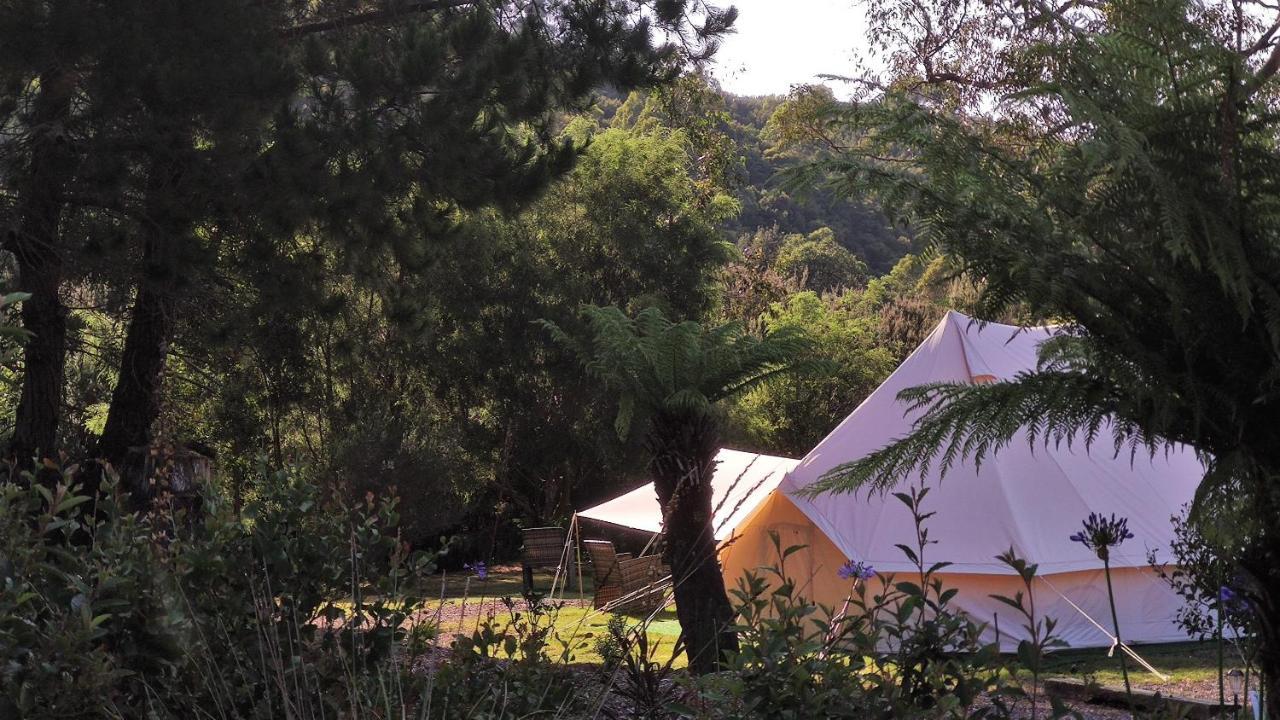 Glamping At Zeehan Bush Camp Kültér fotó