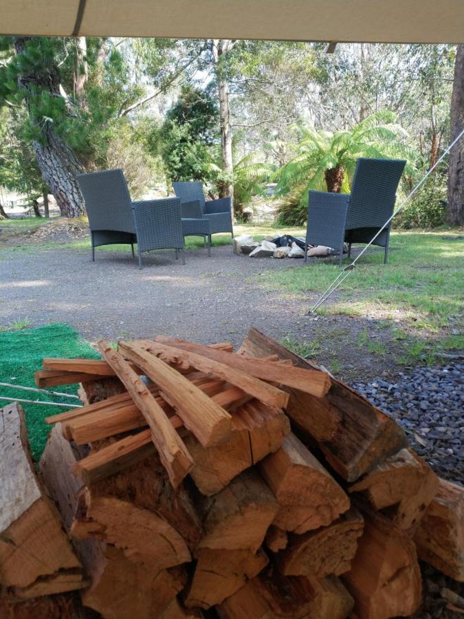 Glamping At Zeehan Bush Camp Kültér fotó